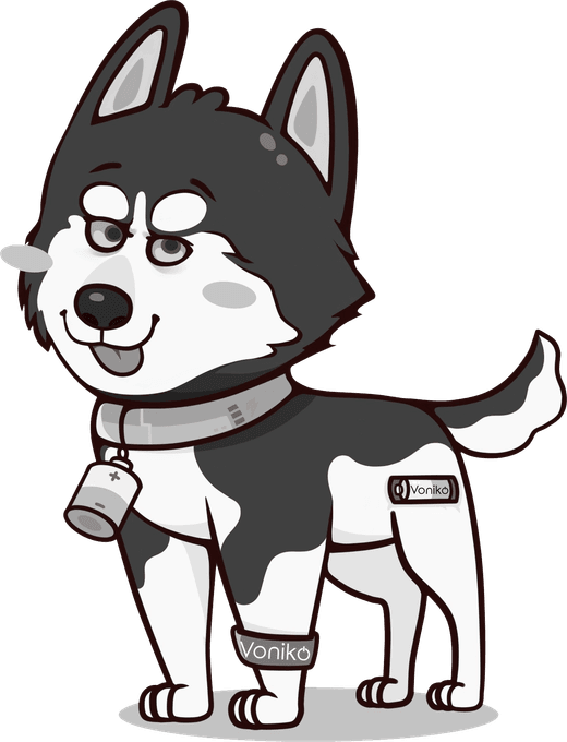 Niko, la mascota husky de Voniko